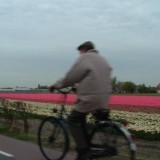 Bij dementie je oude buurtje virtueel fietsend bezoeken