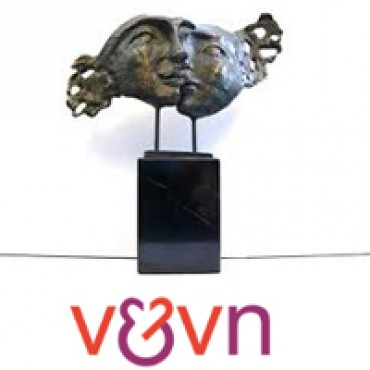 Drie genomineerden voor V&VN Zorgaward 2015