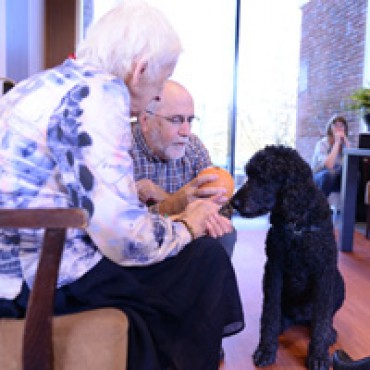 Loena doet mevrouw Schuld denken aan haar eigen hond