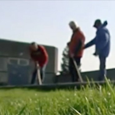 Mensen met dementie zelf aan de slag als vrijwilliger!