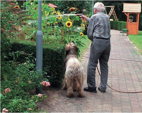 In de beleeftuin