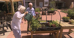 Groene binnentuin bij zorginstelling